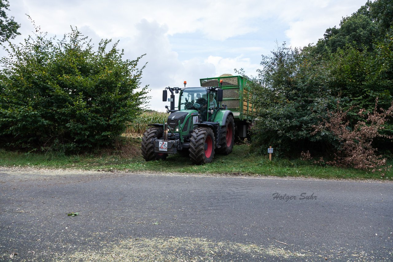 Bild 215 - Maisernte